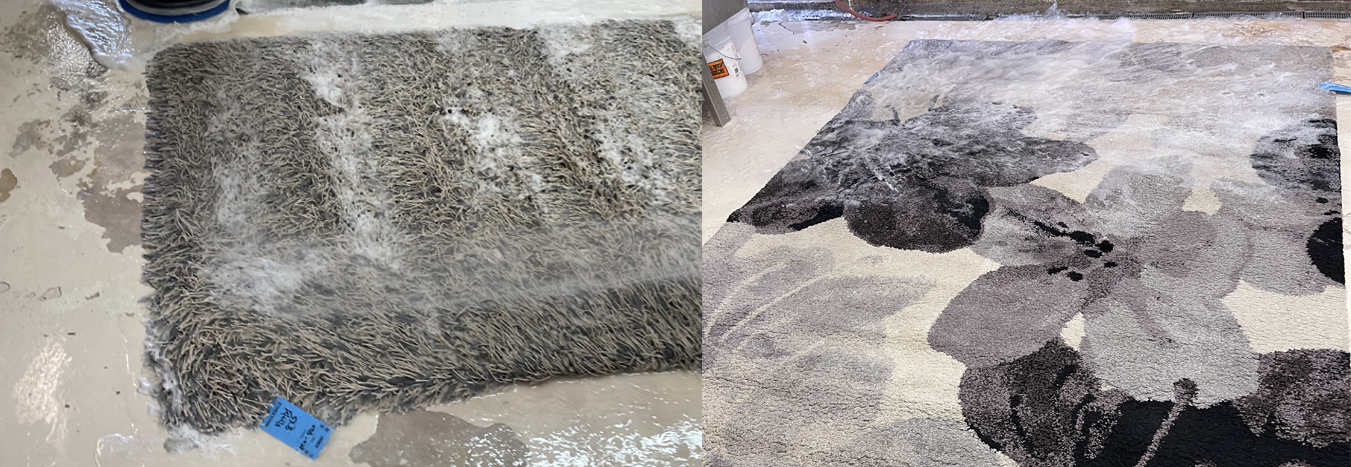 Area Rug Cleaning Jupiter