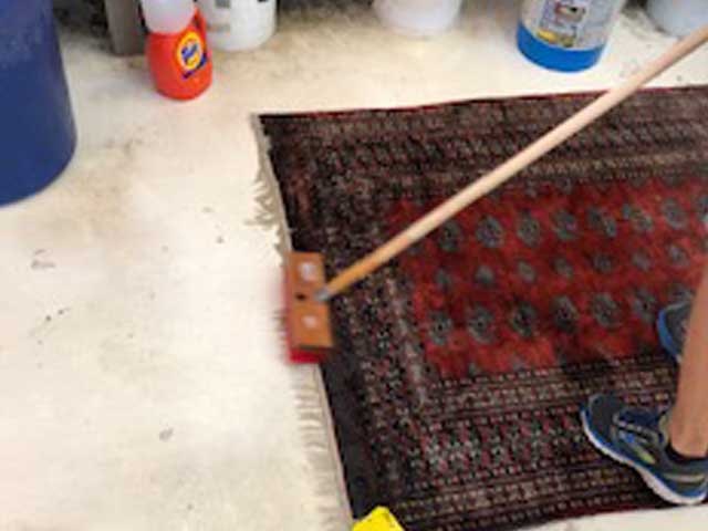 Area Rug Fringe Cleaning Jupiter