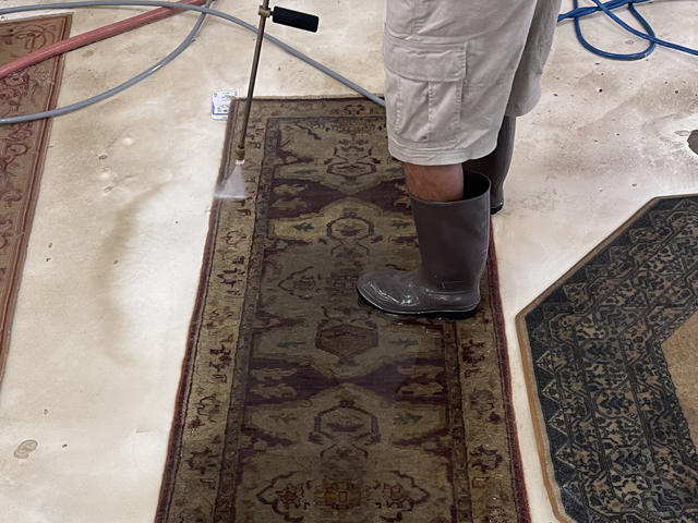 Area Rug Washing