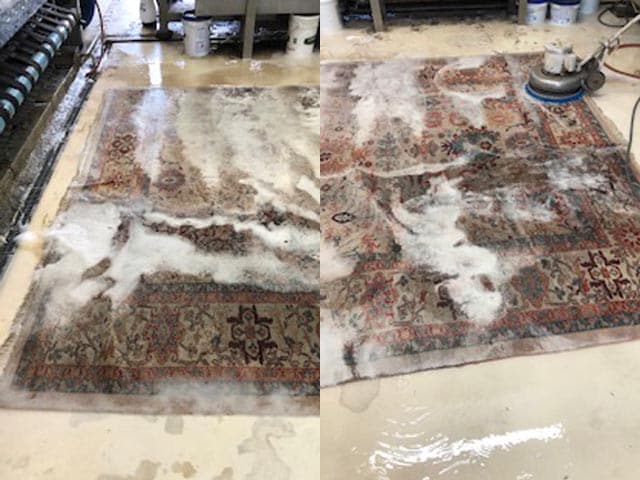 Area Rug Cleaning