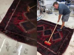 Rug Cleaners