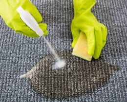 Rug Stain Removal