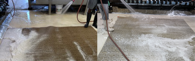 Expert Sisal Rug Cleaning Jupiter