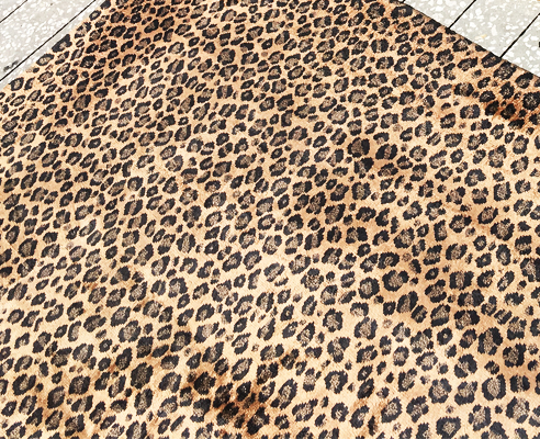 Jupiter Area Rug Cleaning