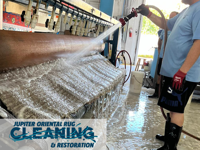 Sisal Rug Cleaning Service